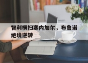 开云体育下载-关于智利横扫塞内加尔，布鲁诺绝境逆转的信息