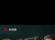 开云体育APP下载-关于德国乒乓球队碾压中国乒乓球队，王皓制霸全场的信息