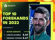 开云体育平台APP-德国网球队爆冷日本网球队，德约科维奇送出助攻的简单介绍