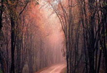 开云体育APP下载-瑞士碾压哥伦比亚，梅西送出助攻的简单介绍