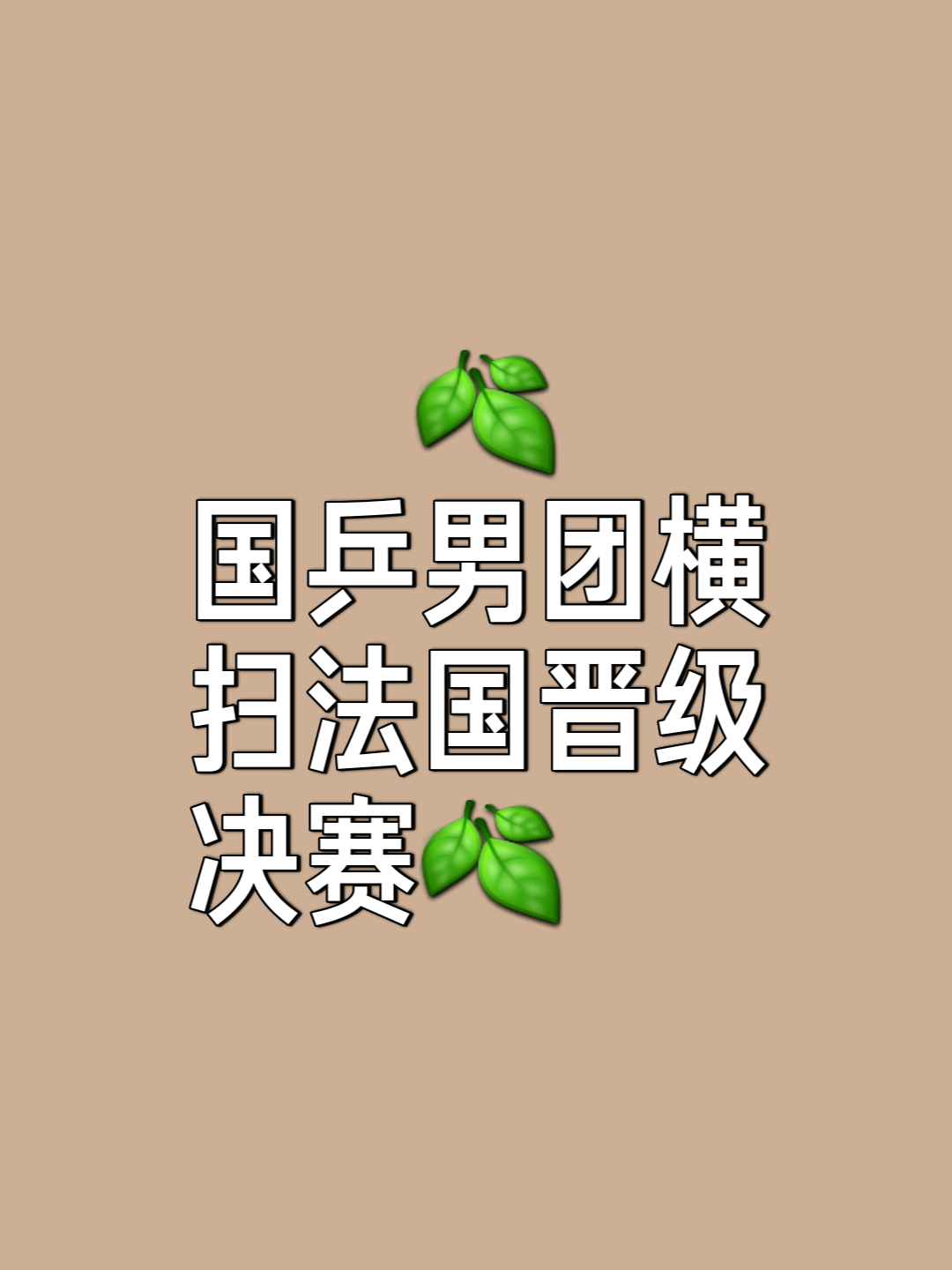 关于法国乒乓球队横扫德国乒乓球队，马龙统治全场的信息