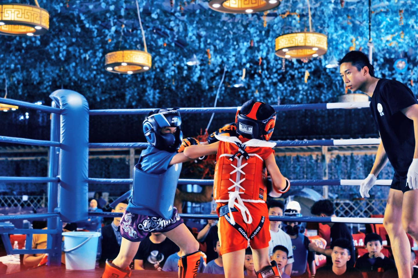 热血搏击！比赛中的精彩瞬间的简单介绍