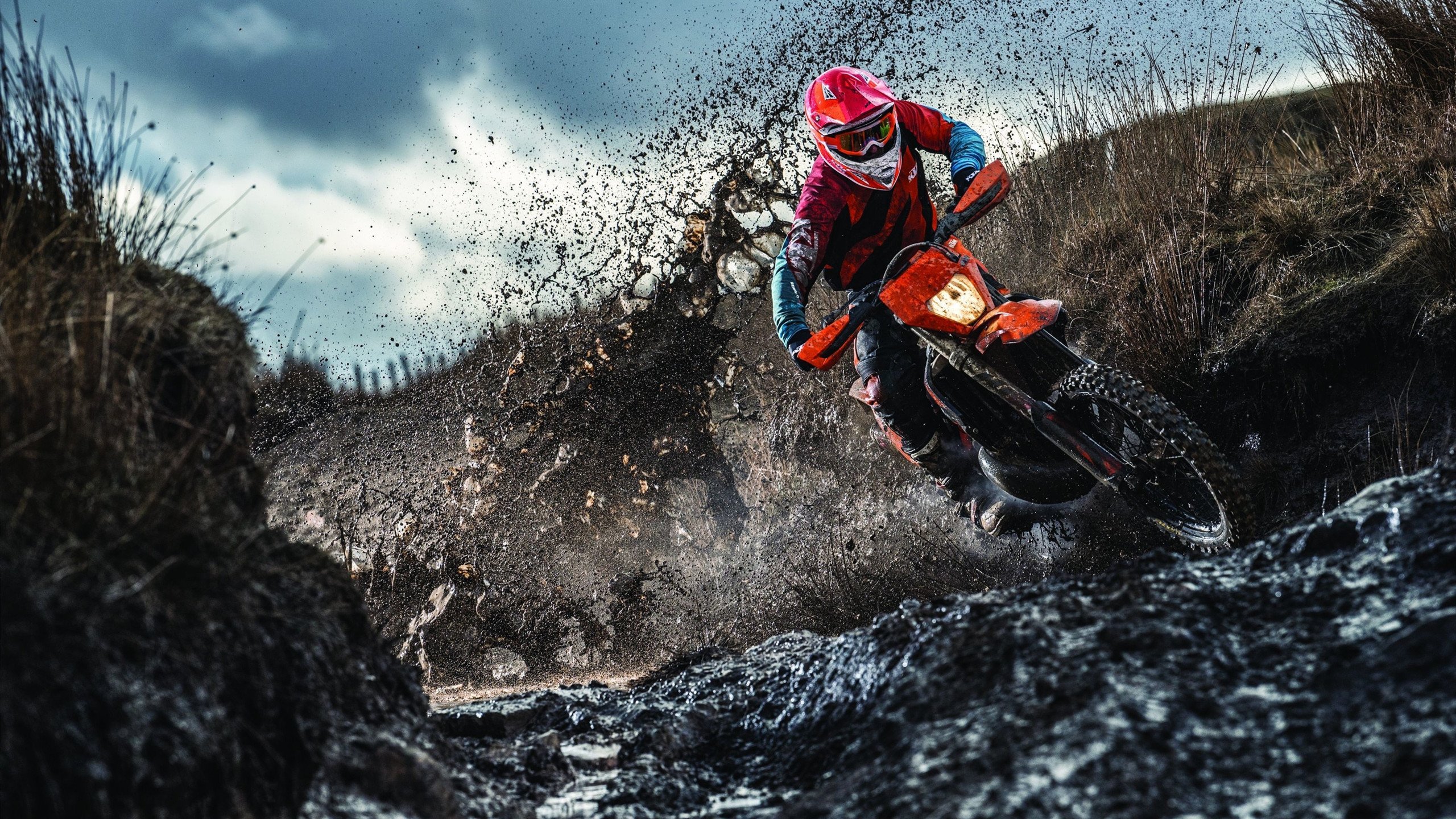 苏亚雷斯关键节点连续得分，国际米兰淘汰赛过关德国